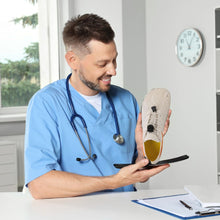 Load image into Gallery viewer, FreeStep  – Gesunde &amp; rutschfeste Barfußschuhe für mehr Bewegung &amp; Gewichtsverlust
